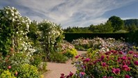 rosemoor gardens.jpg
